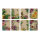 Bustine regalo - Splendore floreale - 40 bustine di carta colorate / bustine piatte con 8 diversi motivi