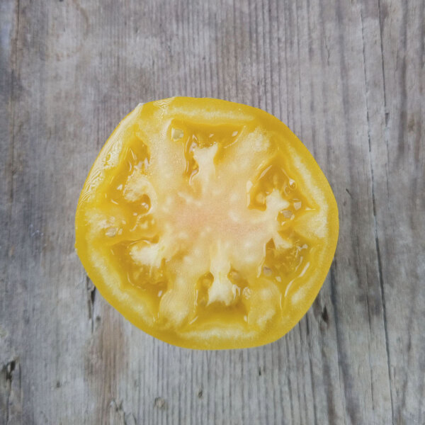 Pomodorino ciliegino Mirabelle Blanche (Solanum lycopersicum) semi