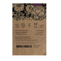 Pomodoro Siberian Tiger (Solanum lycopersicum) semi