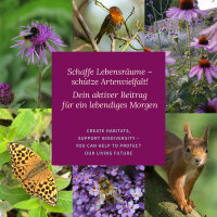 Rarità botaniche per lorto e la cucina - Set di semi n. 7