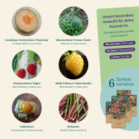 Il tuo frutteto: Melone, Fragola & Co - Set di semi n. 8