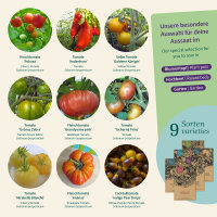 Tomato Fiesta – joyful colour, irresistible flavour...