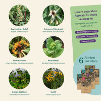 Piante magiche: erbe per rituali e dincenso - Set di semi n. 9