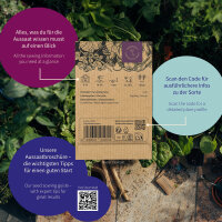 Melon Garden: easy home-grown exotic fruit – Seed kit No.16