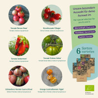Organic Tomatoes: colourful, flavourful heirloom...