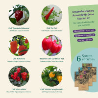 Hot Chillies for garden and kitchen – Seed kit No.25