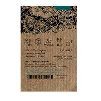 Bocca di leone Orange Wonder (Antirrhinum majus) semi