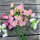 Pisello odoroso rosa pallido ‘Mollie Rilstone’ (Lathyrus odoratus) semi