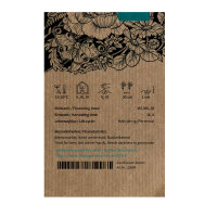 Zinnia Envy (Zinnia elegans) semi