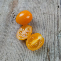 Pomodorino arancione ‘Figiel’ (Solanum...