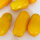 Pomodoro nano giallo Banana Legs (Solanum lycopersicum) semi