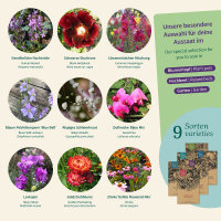 Fiori daltri tempi, come nel giardino della nonna - set...