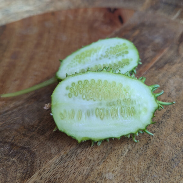 Cetriolo delle Antille (Cucumis anguria) semi