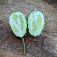 Cetriolo delle Antille (Cucumis anguria) semi