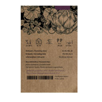 Pomodoro ciliegino Principe Borghese (Solanum lycopersicum) semi