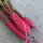 Ravanello Rote Riesen (Raphanus sativus) semi