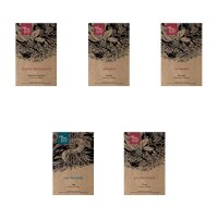 Erbe aromatiche per la cucina italiana - set di semi