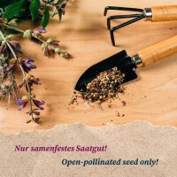 Classiche erbe aromatiche biologiche - set di semi
