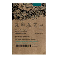 Trifoglio incarnato (Trifolium incarnatum) semi