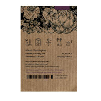 Sedano rosa ‘Chinese Pink’ (Apium graveolens) sementi biologiche