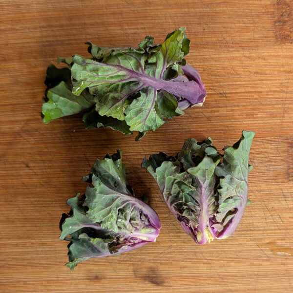 Cavolini ricci (Brassica oleracea var. gemmifera x sabellica) semi