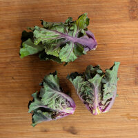 Cavolini ricci (Brassica oleracea var. gemmifera x...