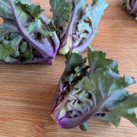 Cavolini ricci (Brassica oleracea var. gemmifera x sabellica) semi