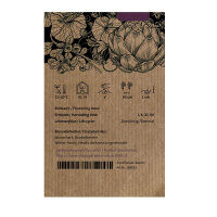 Cavolini ricci (Brassica oleracea var. gemmifera x sabellica) semi