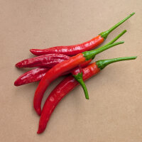 Peperoncino coreano Taeyang Medium (Capsicum annuum)...