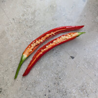 Peperoncino coreano Taeyang Medium (Capsicum annuum) – Semi biologici