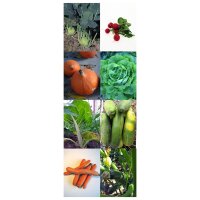 Varietà di verdure biologiche - set di semi