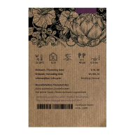 Peperone dolce Sweet Chocolate (Capsicum annuum) semi