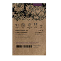 Lattuga batavia Maravilla de Verano (Lactuca sativa) semi