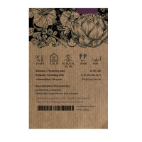 Lattuga iceberg Ice Queen (Lactuca sativa) semi