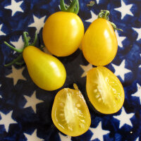 Pomodoro Dattelwein (Solanum lycopersicum) semi