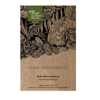 Tabacco ‘Baffra Basma’ (Nicotiana tabacum) semi