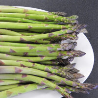 Asparago violetto Argenteuil (Asparagus officinalis) semi biologici
