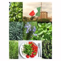 Erbe aromatiche per la cucina italiana - set regalo di semi