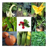 Varietà di verdure biologiche - set regalo di semi