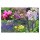 Piante profumate - set regalo di semi
