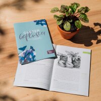 Stella alpina & genziana - Set regalo di semi