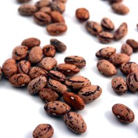 Fagiolo Borlotto Lingua Di Fuoco (Phaseolus vulgaris) biologico semi