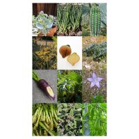 Verdure gourmet ed erbe speciali - Set regalo di semi