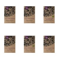 Deliziosi pomodori grandi - set regalo di semi
