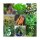 Vecchie verdure storiche - set di semi