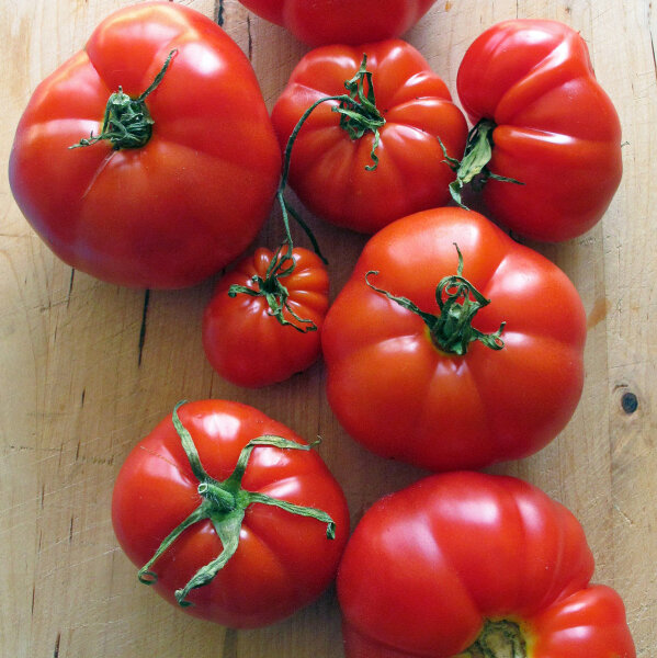 Pomodoro Gigante Oltre 3 Kg – 25 Semi Freschi Da Orto, Varietà Da Record Per Frutti Enormi