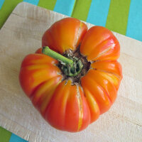Deliziosi pomodori grandi - set di semi
