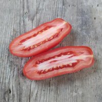 Pomodoro San Marzano (Solanum lycopersicum) biologico semi