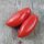 Pomodoro San Marzano (Solanum lycopersicum) semi biologici
