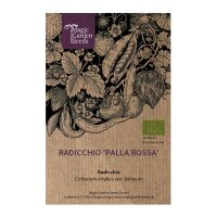 Radicchio Palla Rossa (Cichorium intybus var. foliosum) biologico semi